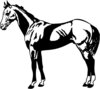 HORSE018