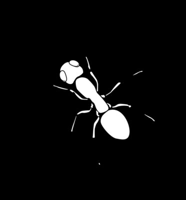 SEB03 Services Exterminator Ant