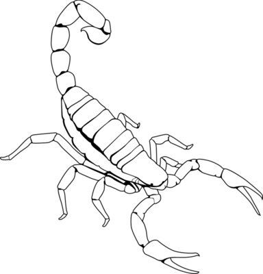 SEB28 Services Exterminator Scorpian