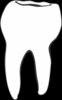 MDB34 Tooth Molar